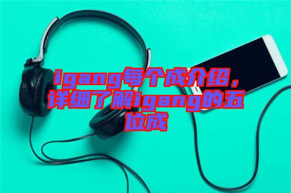 igang每個(gè)成介紹，詳細(xì)了解igang的五位成