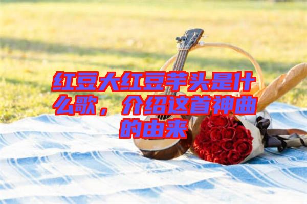 紅豆大紅豆芋頭是什么歌，介紹這首神曲的由來(lái)