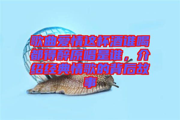 歌曲愛情這杯酒誰喝都得醉原唱是誰，介紹經(jīng)典情歌的背后故事