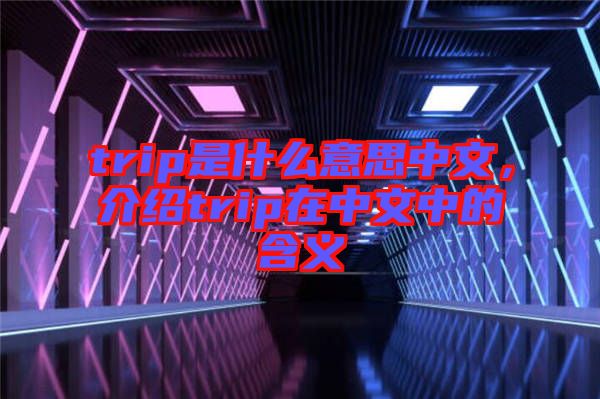 trip是什么意思中文，介紹trip在中文中的含義