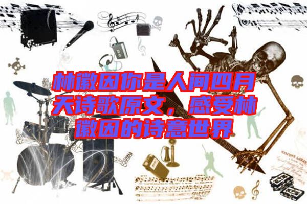 林徽因你是人間四月天詩歌原文，感受林徽因的詩意世界