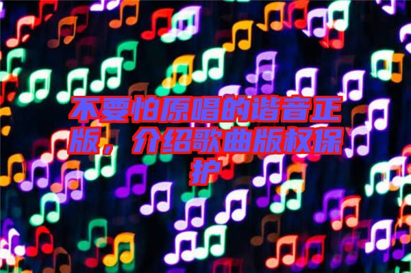 不要怕原唱的諧音正版，介紹歌曲版權保護