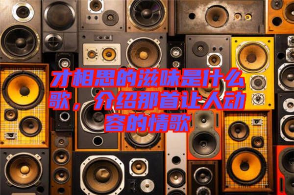 才相思的滋味是什么歌，介紹那首讓人動(dòng)容的情歌