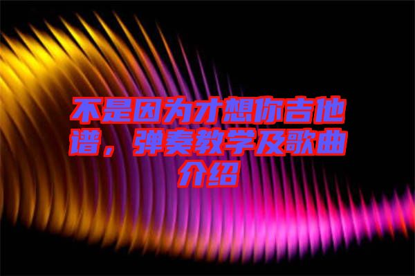 不是因?yàn)椴畔肽慵V，彈奏教學(xué)及歌曲介紹