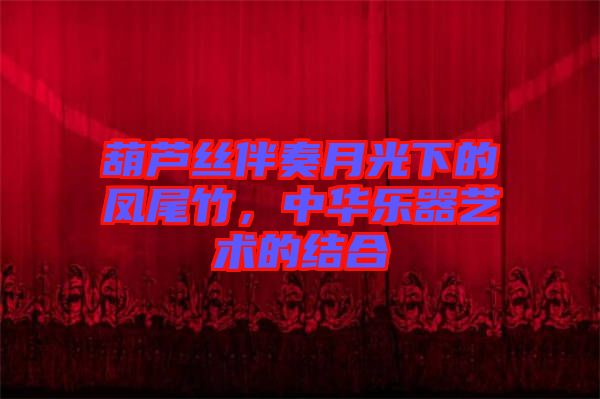 葫蘆絲伴奏月光下的鳳尾竹，中華樂器藝術(shù)的結(jié)合