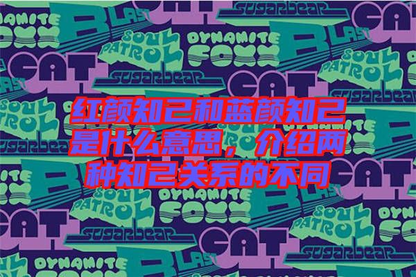 紅顏知己和藍顏知己是什么意思，介紹兩種知己關系的不同