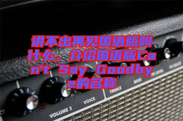 講不出再見(jiàn)國(guó)語(yǔ)版叫什么，介紹國(guó)語(yǔ)版Can't Say Goodbye的名稱