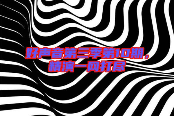 好聲音第三季第10期，精演一網(wǎng)打盡