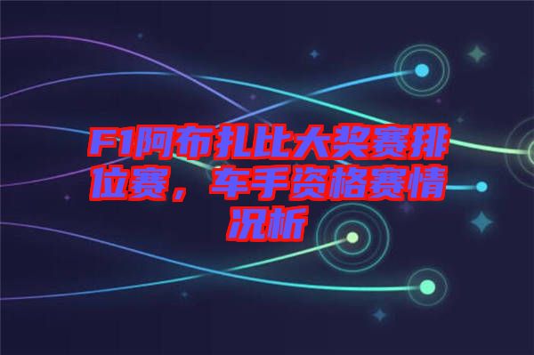 F1阿布扎比大獎賽排位賽，車手資格賽情況析