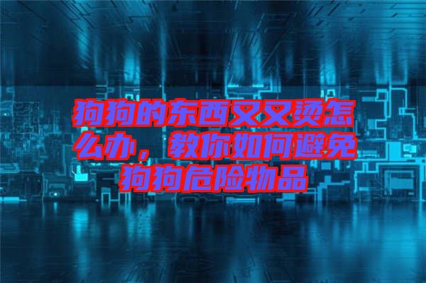狗狗的東西又又燙怎么辦，教你如何避免狗狗危險物品