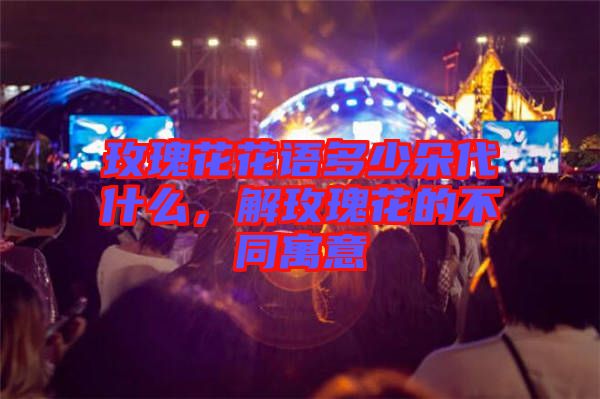 玫瑰花花語多少朵代什么，解玫瑰花的不同寓意
