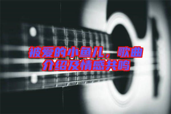 被愛的小魚兒，歌曲介紹及情感共鳴