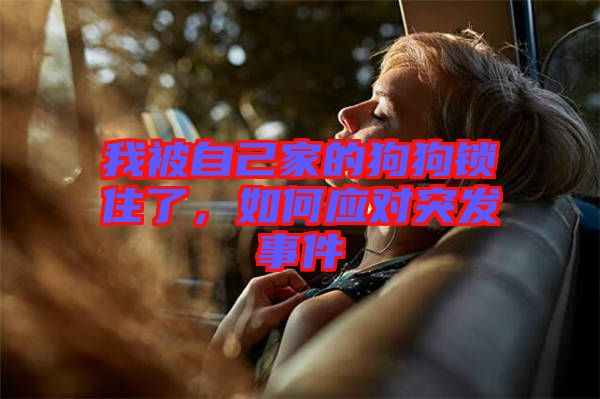 我被自己家的狗狗鎖住了，如何應對突發(fā)事件