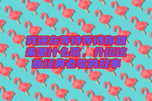 我還在等待等待你回來是什么歌，介紹這首經(jīng)典老歌的故事