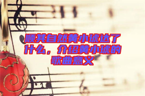 順其自然黃小琥達(dá)了什么，介紹黃小琥的歌曲意義