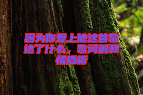 因?yàn)槟銗凵纤@首歌達(dá)了什么，歌詞解和情感析
