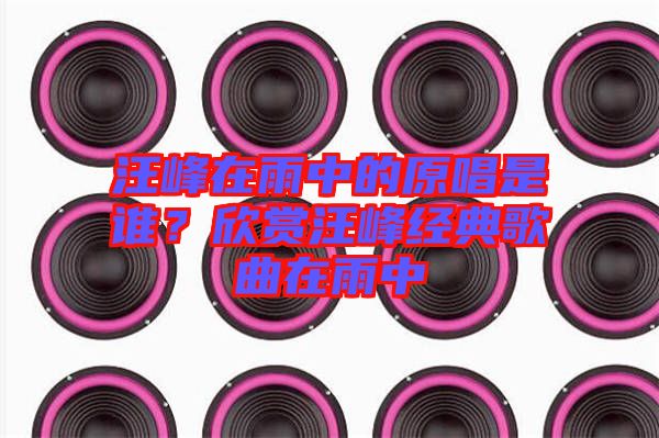 汪峰在雨中的原唱是誰(shuí)？欣賞汪峰經(jīng)典歌曲在雨中