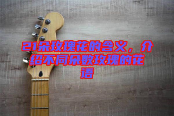 21朵玫瑰花的含義，介紹不同朵數(shù)玫瑰的花語