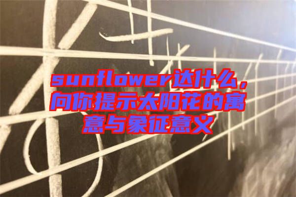 sunflower達(dá)什么，向你提示太陽花的寓意與象征意義