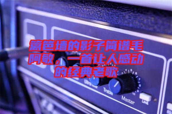 籬笆墻的影子簡譜毛阿敏，一首讓人感動的經(jīng)典老歌