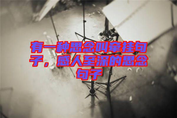 有一種思念叫牽掛句子，感人至深的思念句子