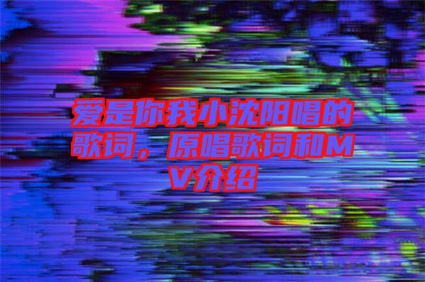 愛是你我小沈陽唱的歌詞，原唱歌詞和MV介紹