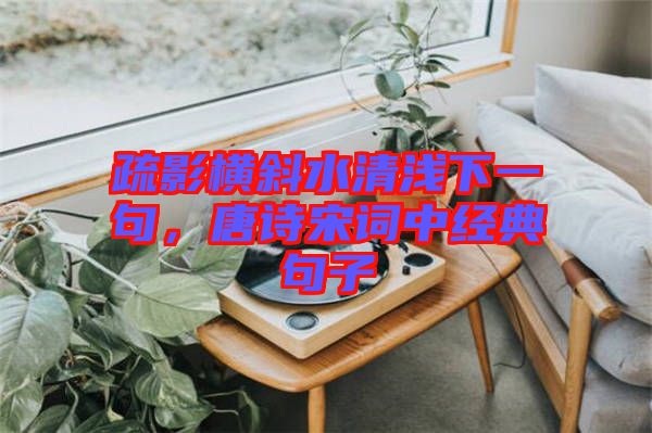 疏影橫斜水清淺下一句，唐詩宋詞中經(jīng)典句子