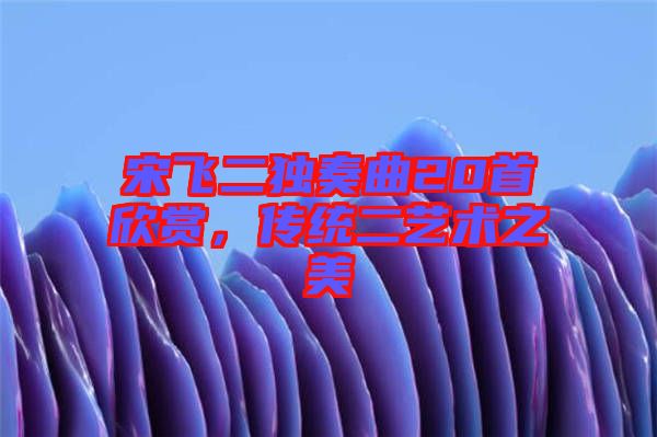 宋飛二獨(dú)奏曲20首欣賞，傳統(tǒng)二藝術(shù)之美