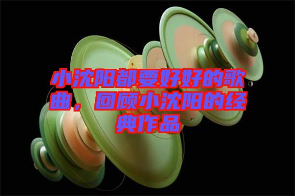 小沈陽都要好好的歌曲，回顧小沈陽的經(jīng)典作品