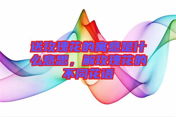 送玫瑰花的寓意是什么意思，解玫瑰花的不同花語