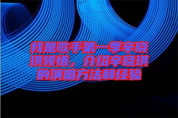 我是歌手第一季辛?xí)早黝I(lǐng)悟，介紹辛?xí)早鞯难莩椒ê徒?jīng)驗(yàn)