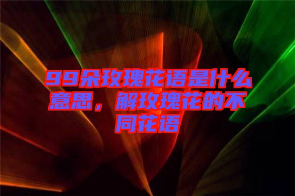 99朵玫瑰花語是什么意思，解玫瑰花的不同花語