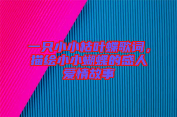 一只小小枯葉蝶歌詞，描繪小小蝴蝶的感人愛情故事