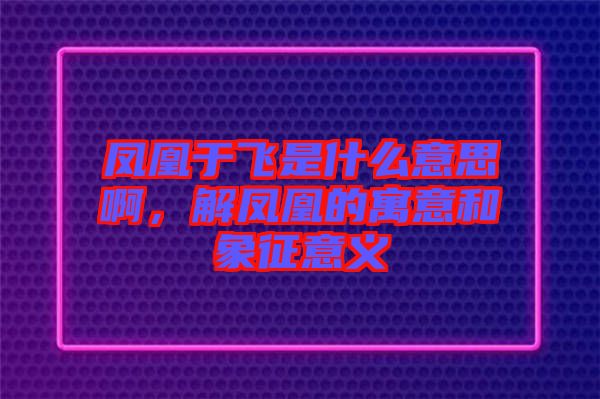 鳳凰于飛是什么意思啊，解鳳凰的寓意和象征意義