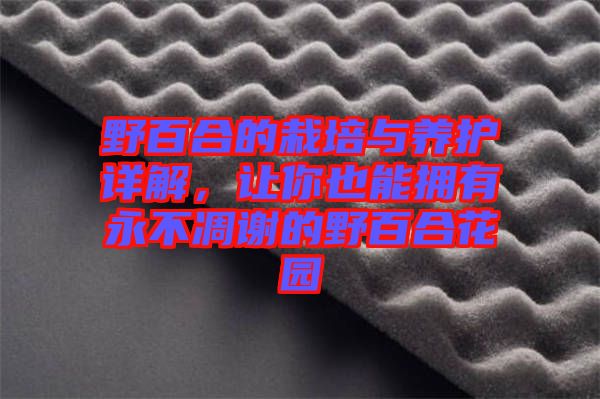 野百合的栽培與養(yǎng)護(hù)詳解，讓你也能擁有永不凋謝的野百合花園