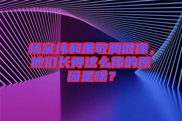 楊宗緯和蕭敬騰很像，他們長(zhǎng)得這么像的原因是啥？
