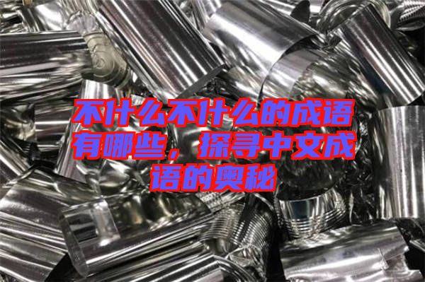 不什么不什么的成語有哪些，探尋中文成語的奧秘