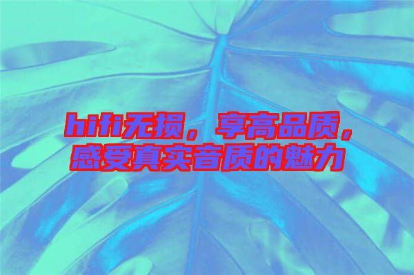 hifi無損，享高品質(zhì)，感受真實(shí)音質(zhì)的魅力