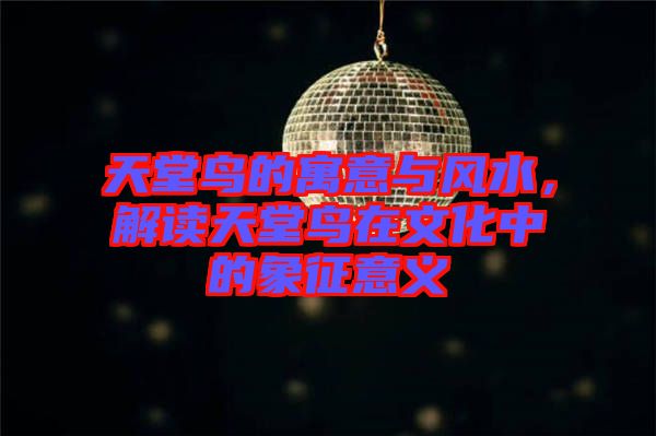 天堂鳥的寓意與風水，解讀天堂鳥在文化中的象征意義