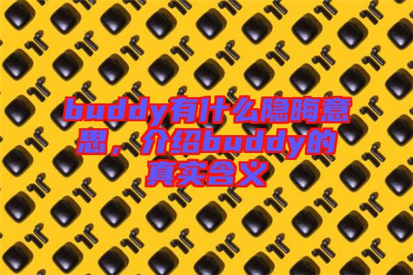 buddy有什么隱晦意思，介紹buddy的真實(shí)含義
