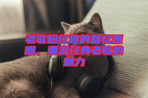 老歌粉紅色的回憶原唱，重溫經(jīng)典老歌的魅力