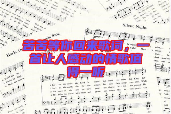 苦苦等你回來歌詞，一首讓人感動的情歌值得一聽