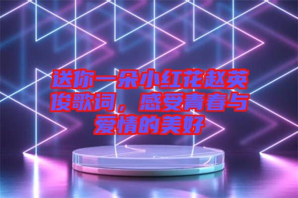 送你一朵小紅花趙英俊歌詞，感受青春與愛情的美好