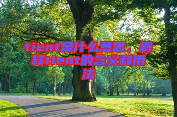 tient是什么意思，解釋tient的含義和用法