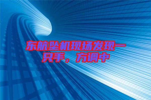東航墜機現(xiàn)場發(fā)現(xiàn)一只手，方調(diào)中