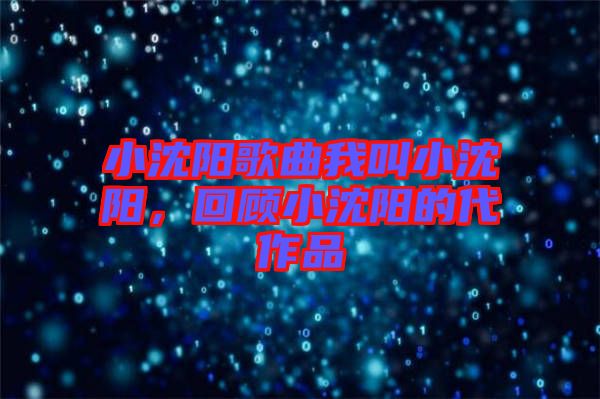 小沈陽歌曲我叫小沈陽，回顧小沈陽的代作品