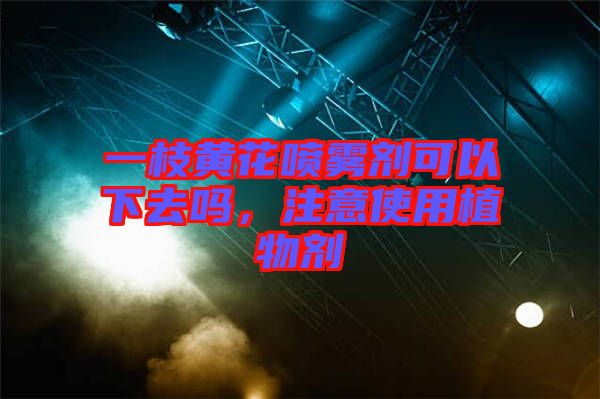 一枝黃花噴霧劑可以下去嗎，注意使用植物劑
