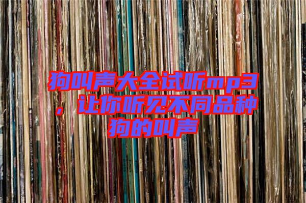 狗叫聲大全試聽mp3，讓你聽見不同品種狗的叫聲