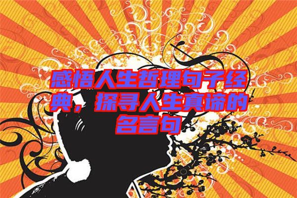 感悟人生哲理句子經(jīng)典，探尋人生真諦的名言句
