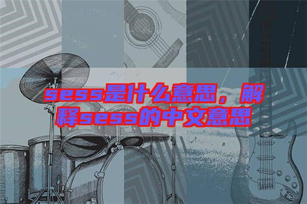 sess是什么意思，解釋sess的中文意思
